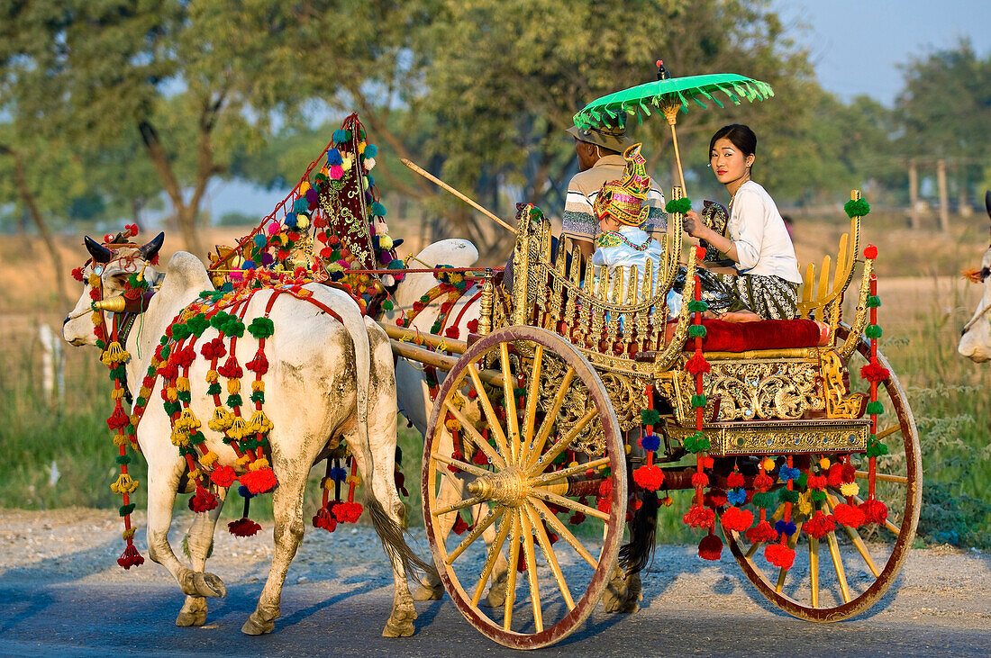 Myanmar (Burma), Mandalay Division, Mandalay city, parade during a novitiate ceremony