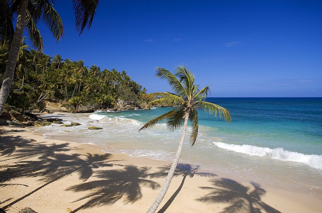 Dominican Republic, North coast, Rio San Juan, Playa Grande beach