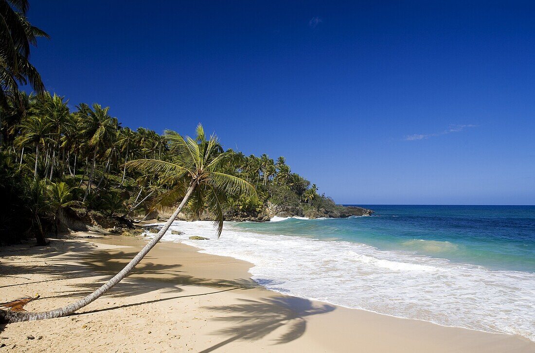 Dominican Republic, North coast, Rio San Juan, Playa Grande beach