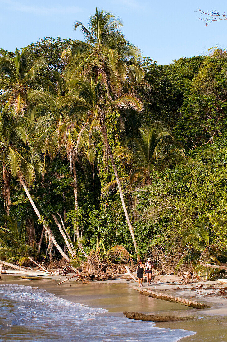 Costa Rica, Limon Province, Caribbean coast, Cahuita National Park