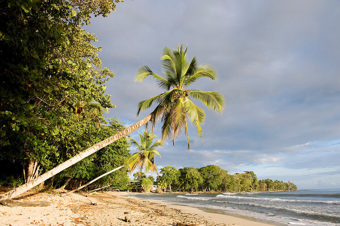 Costa Rica, Limon Province, Caribbean coast, Cahuita National Park