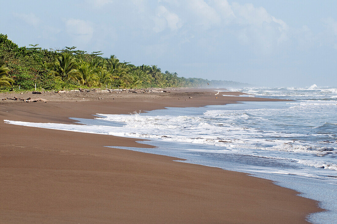 Costa Rica, Limon Province, Caribbean coast, Tortuguero, beach