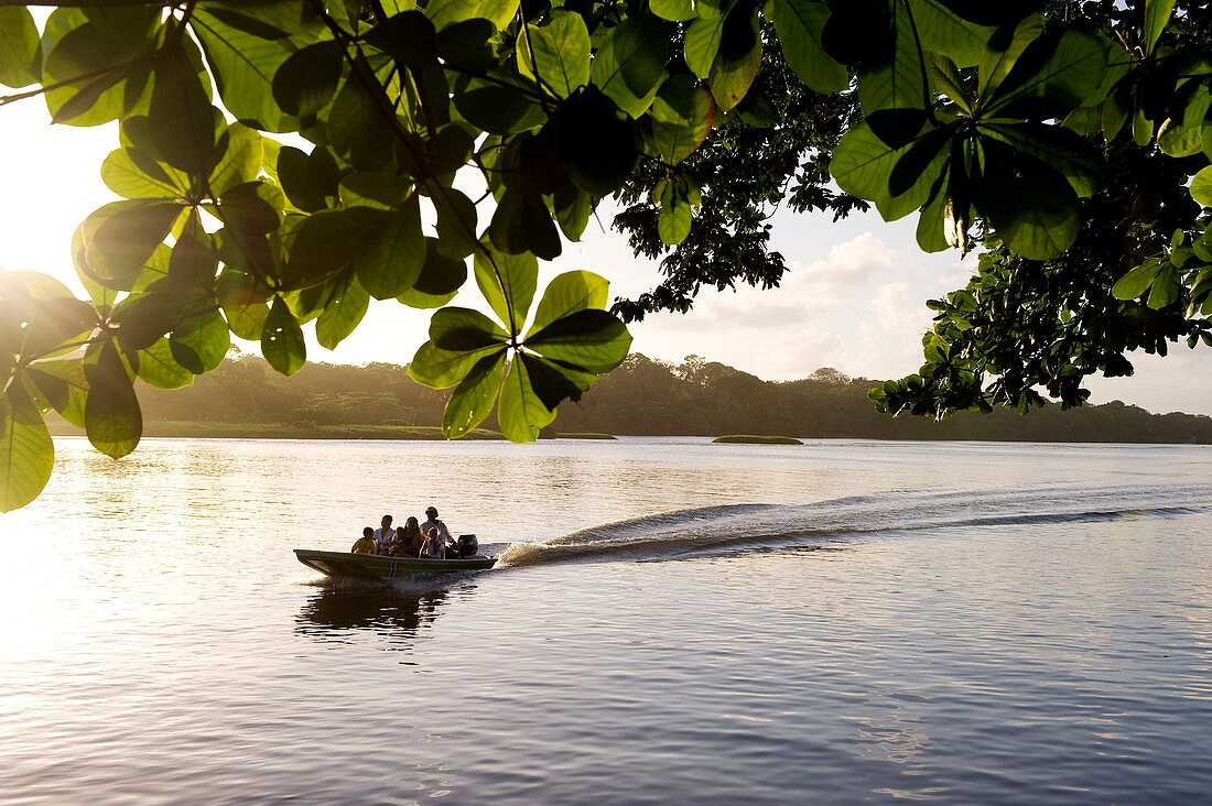 Costa Rica, Limon Province, Caribbean coast, Tortuguero Lagoon