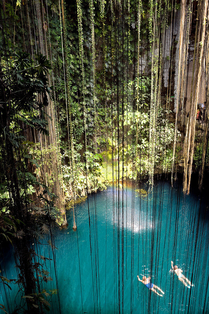 Mexico, Yucatan State, Eco-Archaeological Park, Cenote Ik-Kil or Sacred Blue Cenote