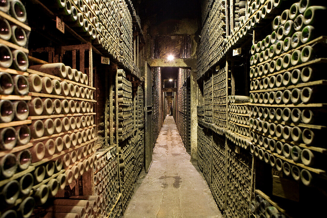 Spain, Spanish Basque Country, Alava Province, Rioja Alavesa, Elciego, Marques de Riscal luxury hotel of Starwood Chain by architect Frank Gehry, wine cellar