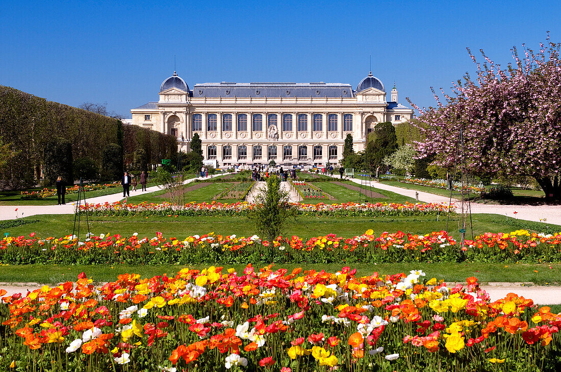 France, Paris, the Jardin des Plantes (Plants Gardens) and the Grande Galerie de l'Evolution (Grand Gallery of the Evolution)