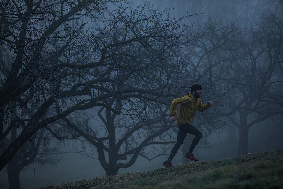 Young man running over a meadow between trees on a foggy autumn day, Allgaeu, Bavaria, Germany