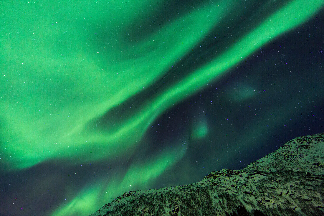 Nordlichter, Aurora borealis, bei Rorvika, Austvagoya, Lofoten, Norwegen, Skandinavien, Europa