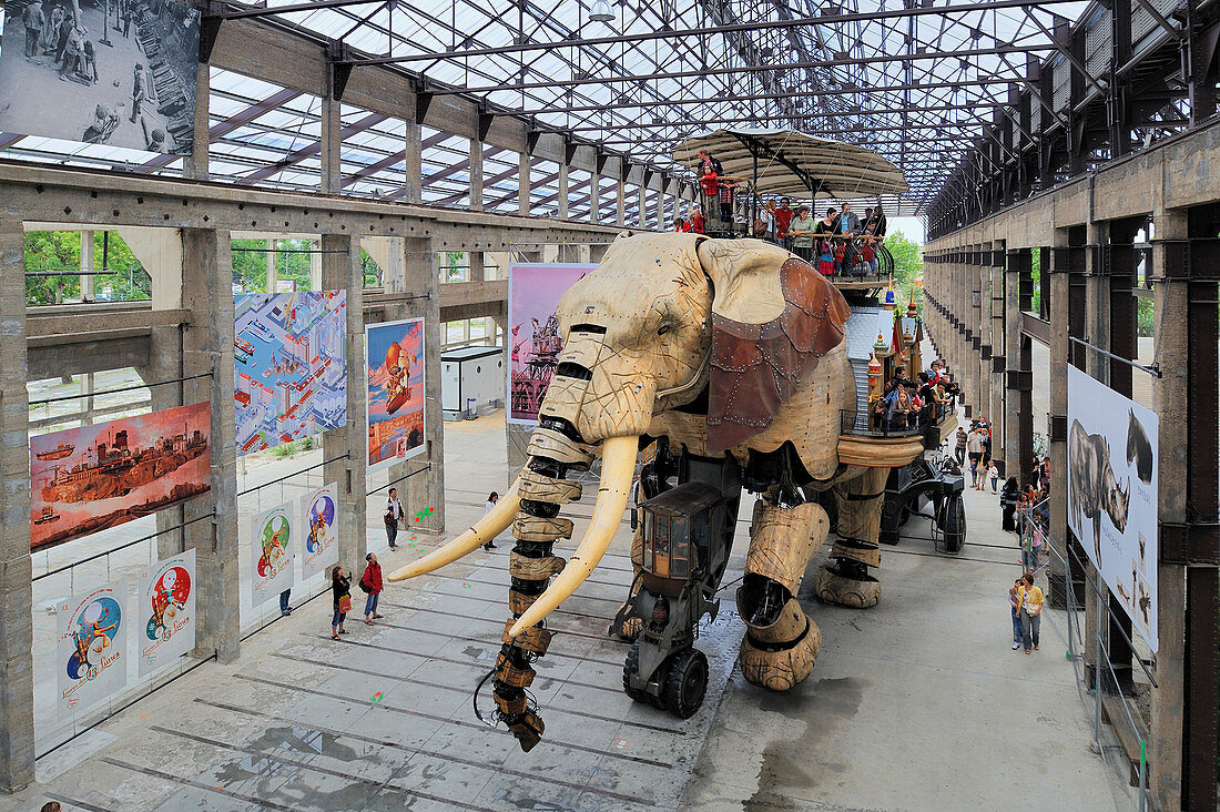 France, Loire Atlantique, Nantes, European Green Capital 2013, Ile de Nantes, Les Machines de l'Ile (the Machines of the Island) in the warehouses of the former shipyards, artistic project conceived by François Delarozière and Pierre Orefice, the elephant