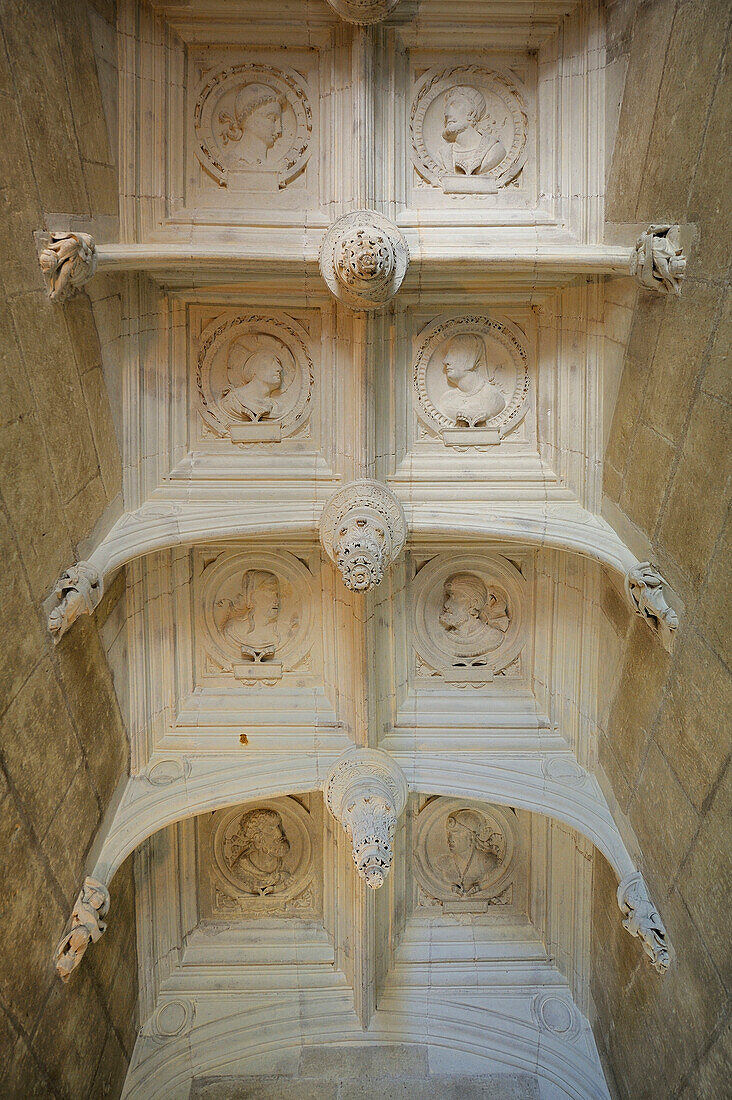 France, Indre et Loire, Loire Valley listed as World Heritage by UNESCO, Chateau d' Azay le Rideau, detail of the ceiling of the honor staircase
