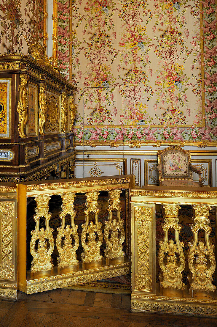 France, Yvelines, Chateau de Versailles, listed as World Heritage by UNESCO, Les Grands Appartements (State Apartments), the Queen's bedroom
