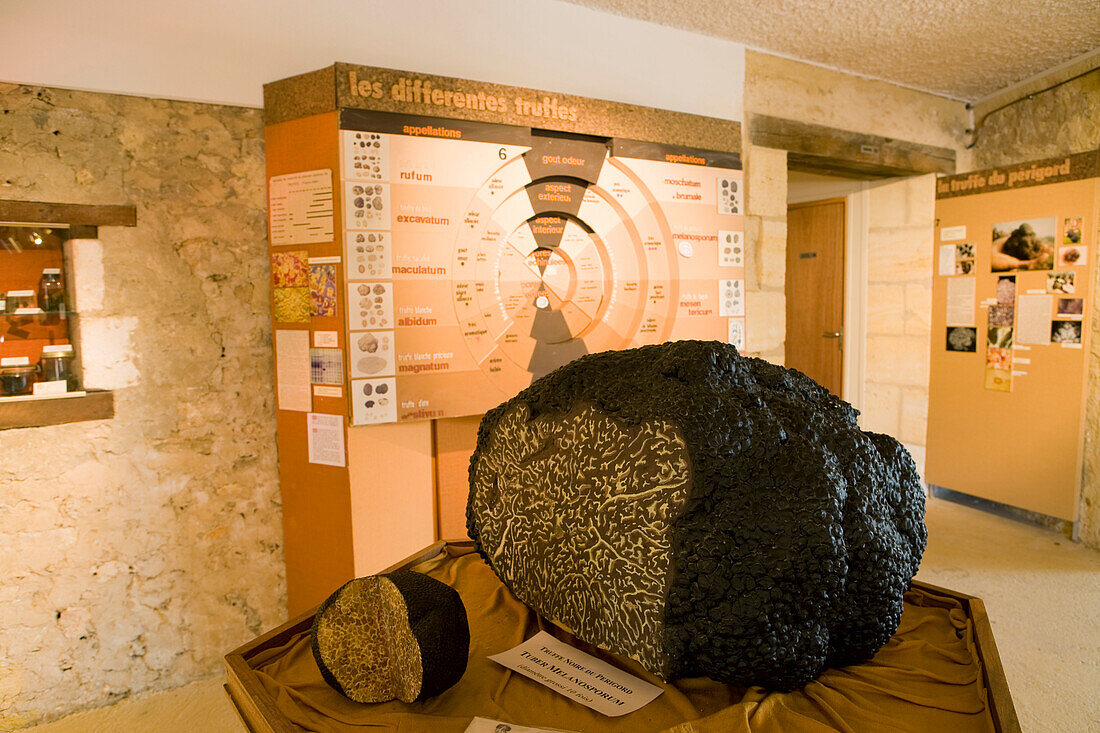 France, Dordogne, Perigord Blanc, Sorges, Ecomusee de la truffe (Ecomuseum of Truffle)