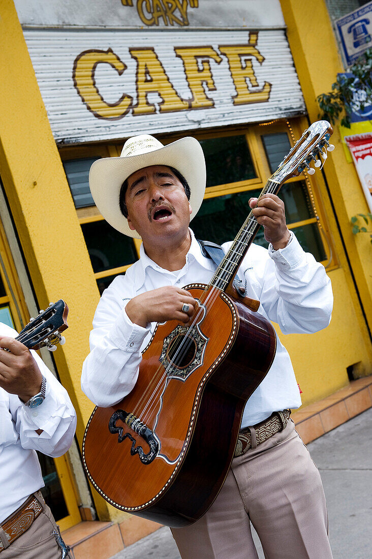 Mexico, Federal District, Mexico City, Coyoacan district, street musician, huastéque