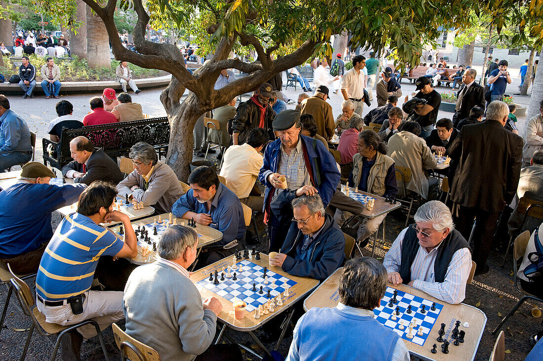 Chile, Santiago de Chile, Plaza Las Armas, chess player
