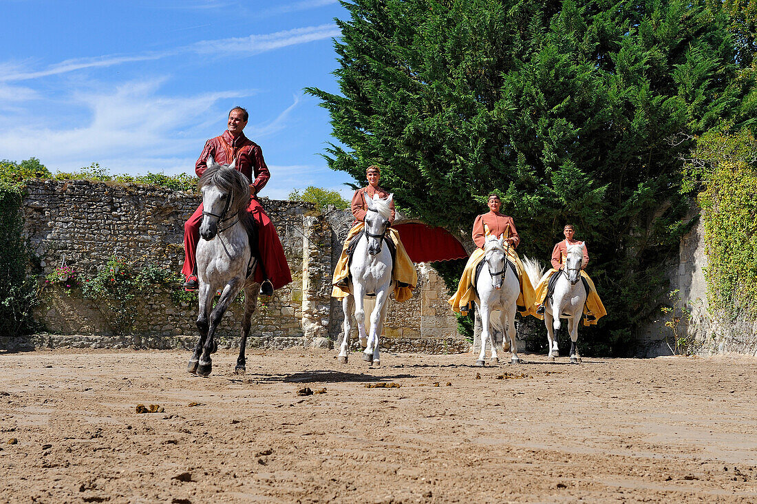 France, Loir et Cher, Loire Valley listed as World Heritage by UNESCO, Chateau de Chambord, equestrian art show