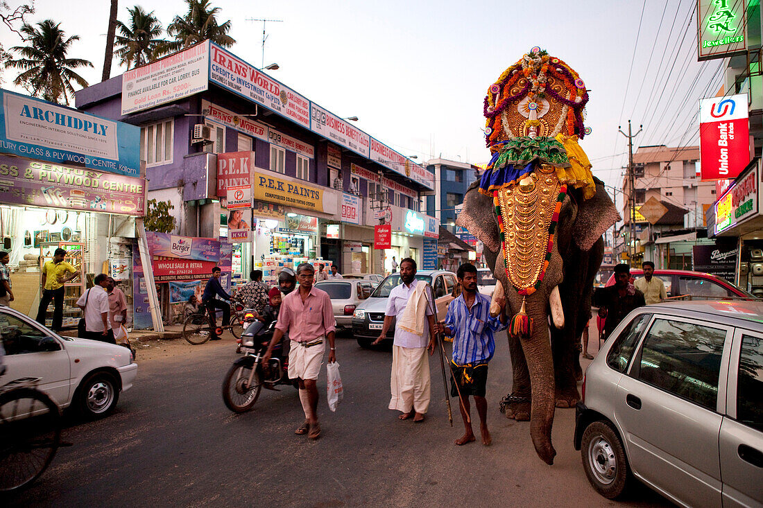 India, Kerala State, Kollam, march through the streets with an elephant decorated