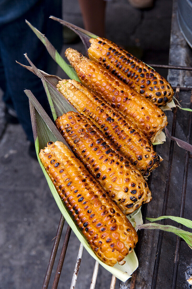 Mexico, Federal District, Mexico City, Coyoacan district market, roasted corn cobs