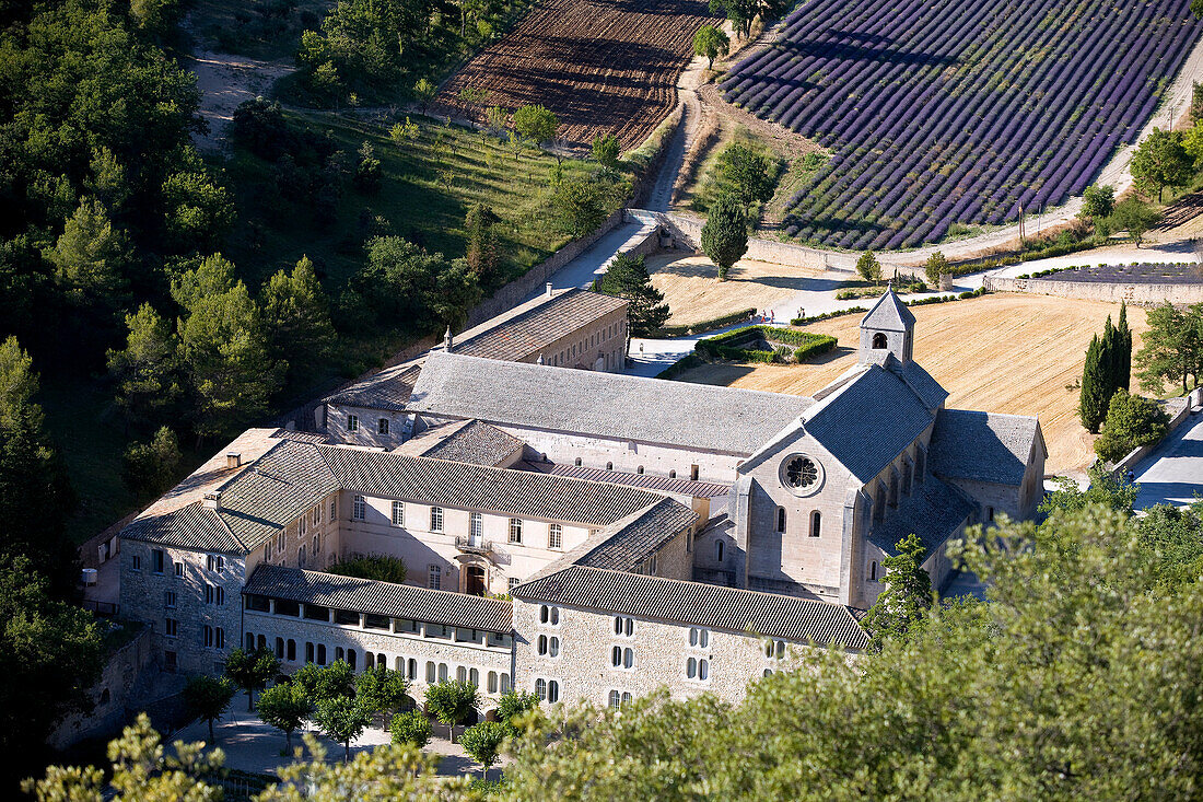 France, Vaucluse, Luberon, village of Gordes, Notre Dame de Senanque Abbey, 12th century