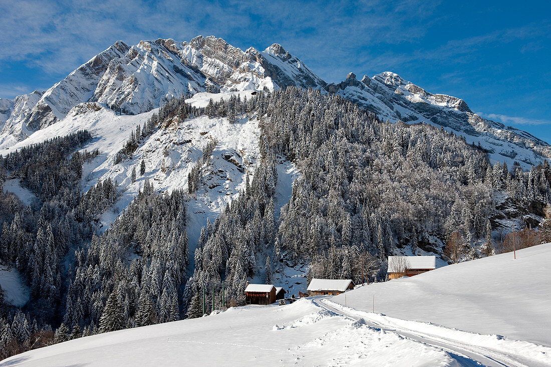 France, Savoie, La Giettaz, the massif of Aravis, Etale 2484m