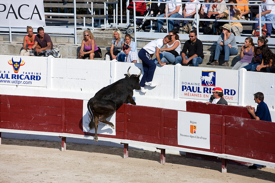 France, Bouches du Rhone, Camargue, Mejanes, folk representation at the Paul Ricard Estate, Bull Race