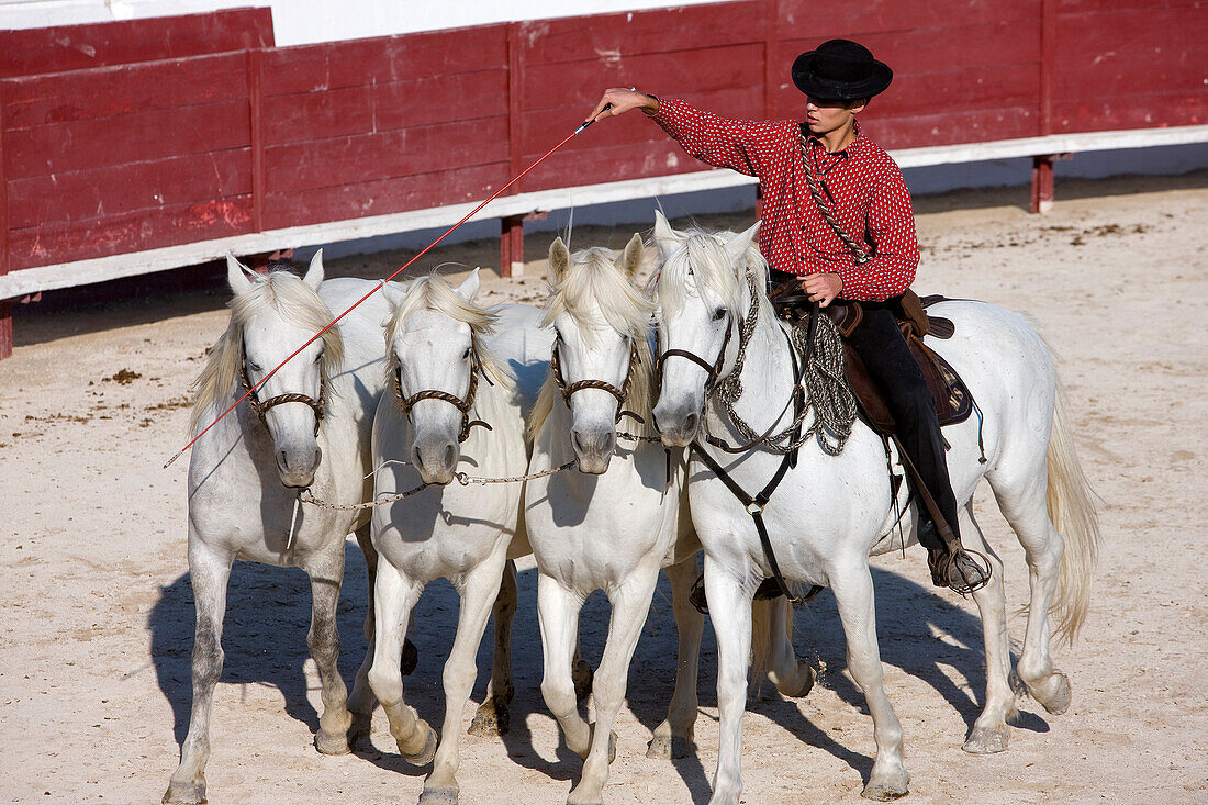 France, Bouches du Rhone, Camargue, Mejanes, folk representation at the Paul Ricard Estate, a Guardian