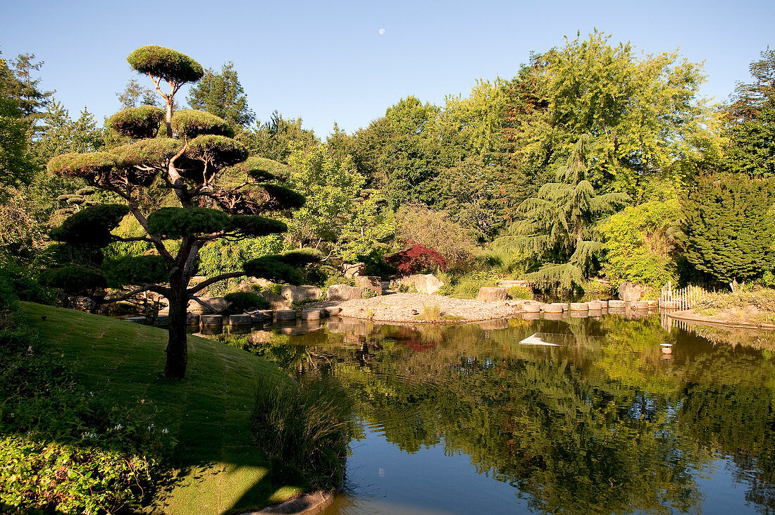France, Loire Atlantique, Nantes, European Green Capital 2013, ile de Versaille, Japanese garden