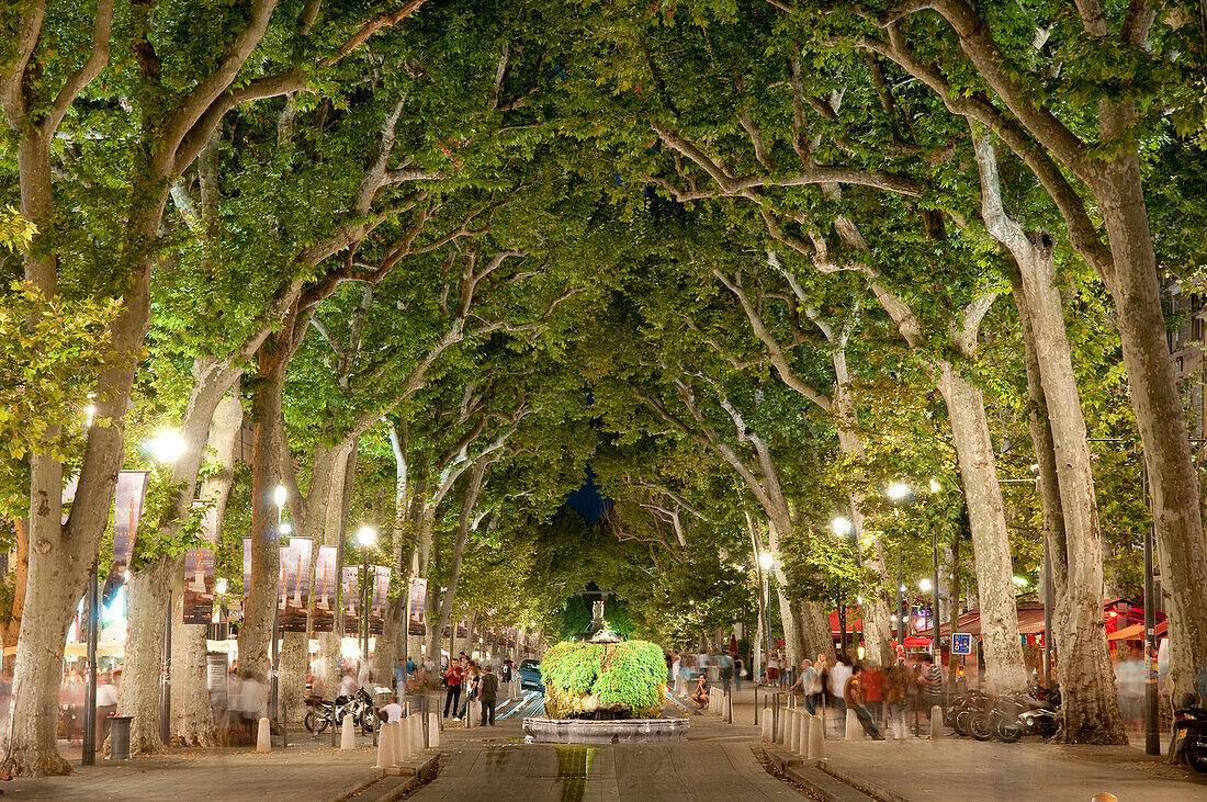 France, Bouches du Rhone, Aix en Provence, the Cours Mirabeau