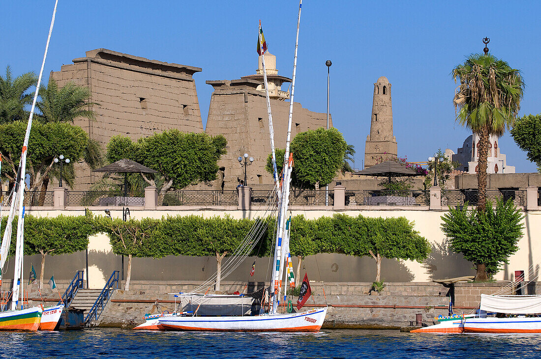 Egypt, Upper Egypt, Nile Valley, Luxor, feluccas on the Nile River moored in front of the temple