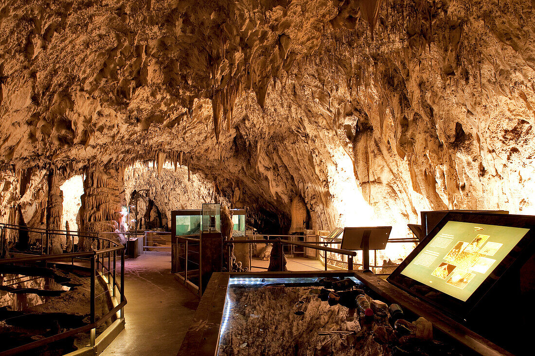 Slovenia, Notranjska region, Postojna caves