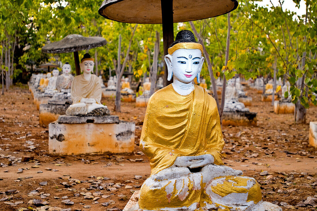 Myanmar (Burma), Sagaing Division, city of Monywa, Boddhi tataung Pagoda, buddha under one of the 1000 sacred banyan trees