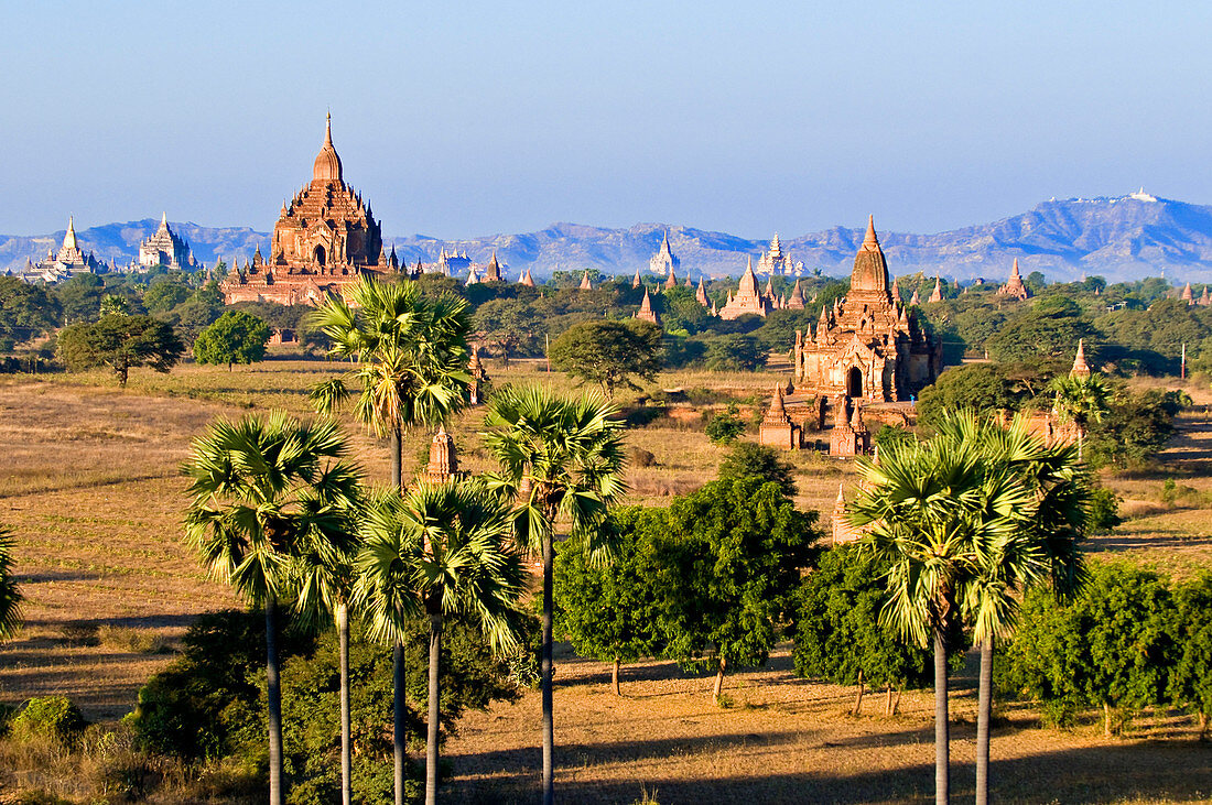 Myanmar (Burma), Mandalay Division, Bagan (Pagan), Old Bagan, archeological site with hundreds of pagodas and stupas built between the 10th and 13th centuries (aerial view)