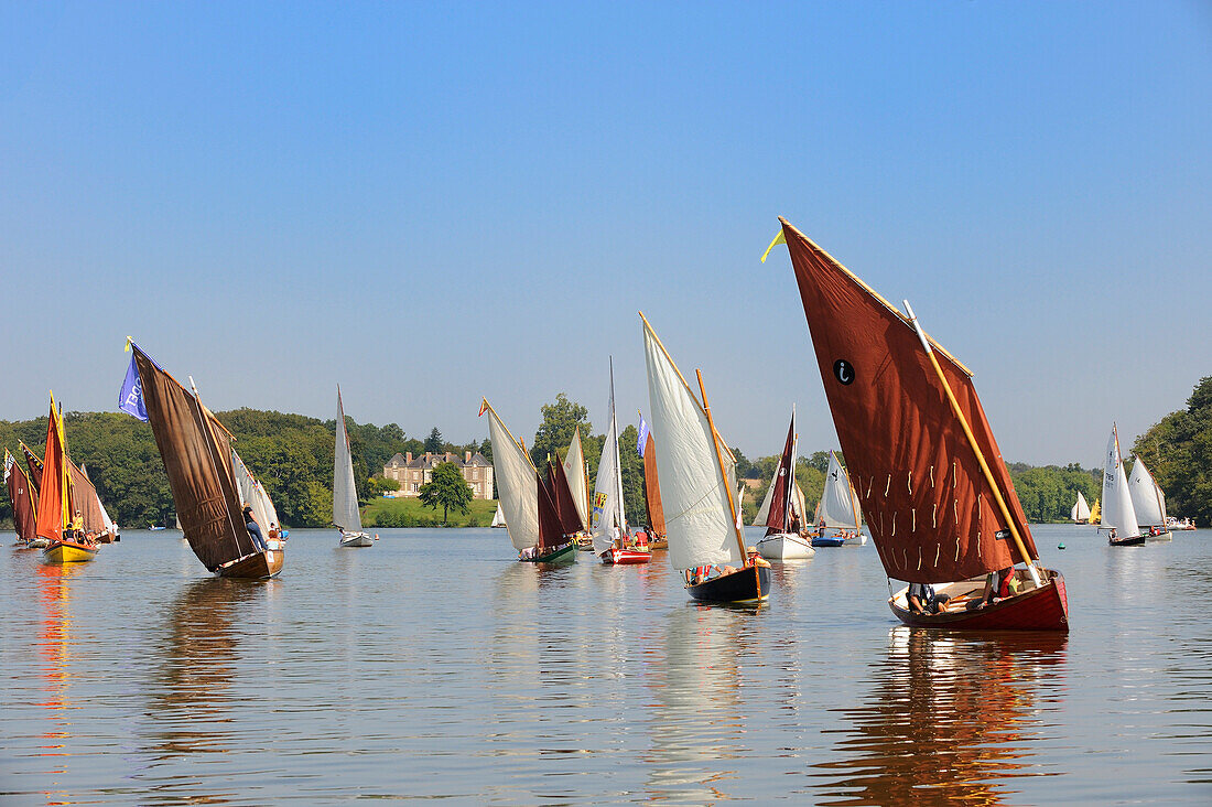 France, Loire Atlantique, Nantes, Suce sur Erdre, Erdre River at the level of Chateau de Nay, Rencontres de Yachting et Canotage - Les Rendez-vous de l'Erdre, old sailboats contest