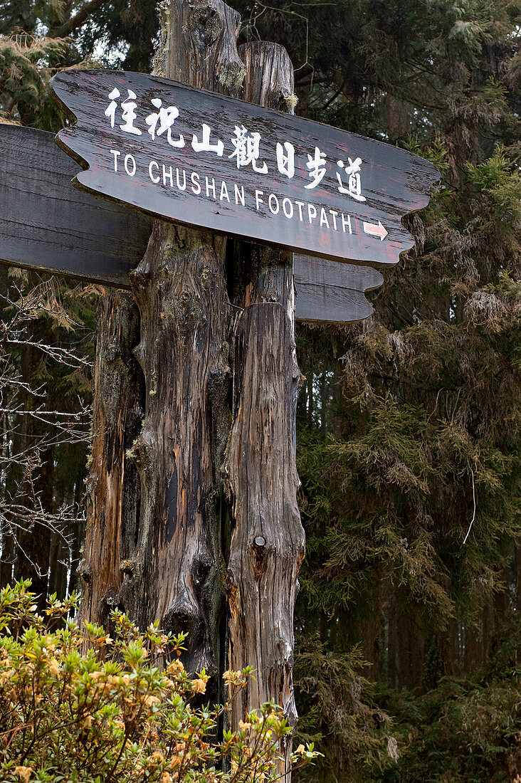 Taiwan, Chiayi District, Alishan National Scenic Area, Altitude Forest, sign