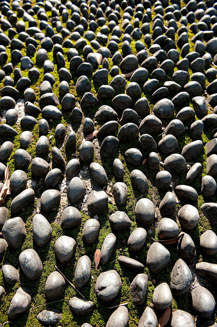 Taiwan, Taipei, old town, 228 Peace Memorial Park (Massacre of the 28th February 1947), stones used for foot massage