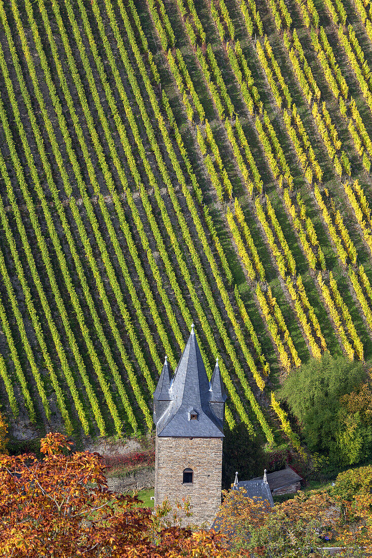 Das Steeger Tor in der Stadtmauer von Bacharach vor den Weinbergen, Oberes Mittelrheintal, Rheinland-Pfalz, Deutschland, Europa