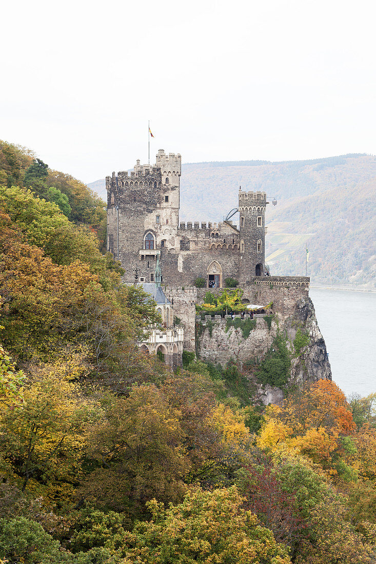 Burg Rheinstein am Rhein bei Trechtingshausen, Oberes Mittelrheintal, Rheinland-Pfalz, Deutschland, Europa