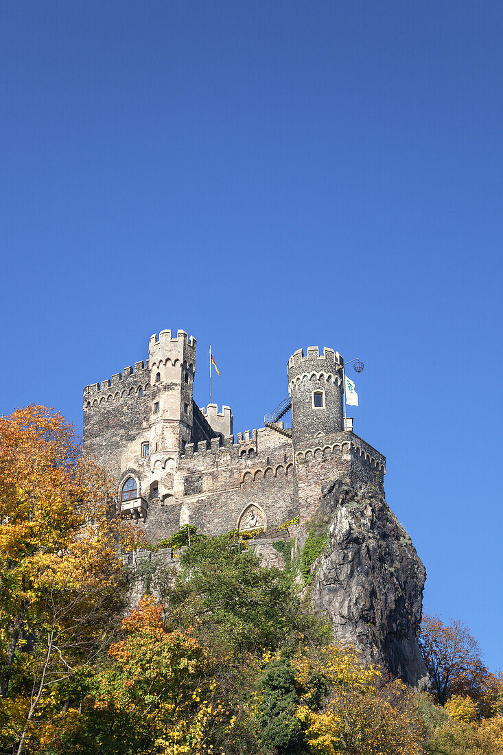 Burg Rheinstein am Rhein bei Trechtingshausen, Oberes Mittelrheintal, Rheinland-Pfalz, Deutschland, Europa