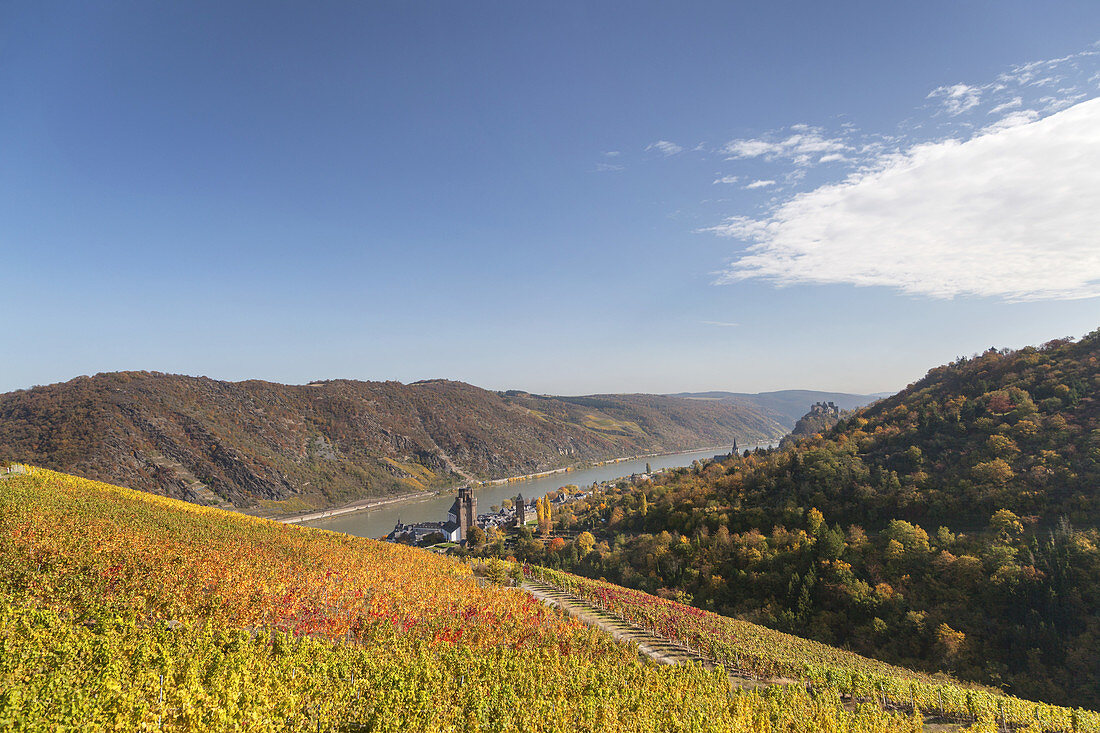 Weinberg am Günderodehaus mit Blick auf Oberwesel und den Rhein, Oberes Mittelrheintal, Rheinland-Pfalz, Deutschland, Europa