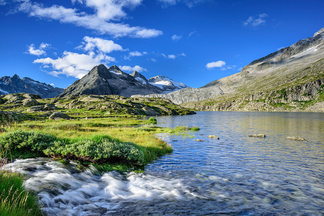 Bach fließt in Bergsee mit Lobbia Alta im Hintergrund, Rifugio Madron, Adamello-Presanella-Gruppe, Trentino, Italien