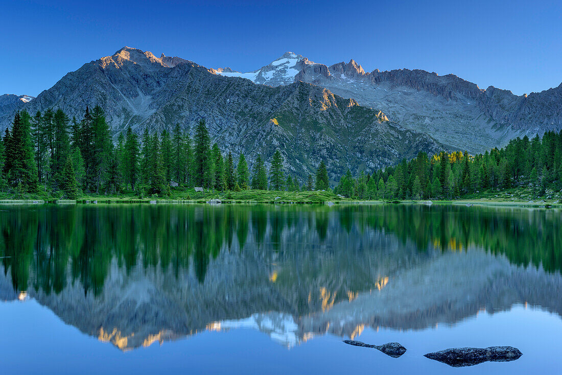 Bergsee mit Cima Presanella im Hintergrund, Lago San Giuliano, Val Genova, Adamello-Presanella-Gruppe, Trentino, Italien