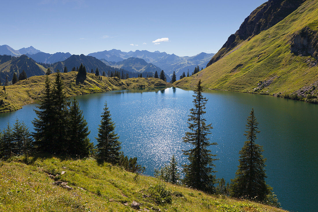 Seealpsee am Nebelhorn, bei Oberstdorf, Allgäuer Alpen, Allgäu, Bayern, Deutschland