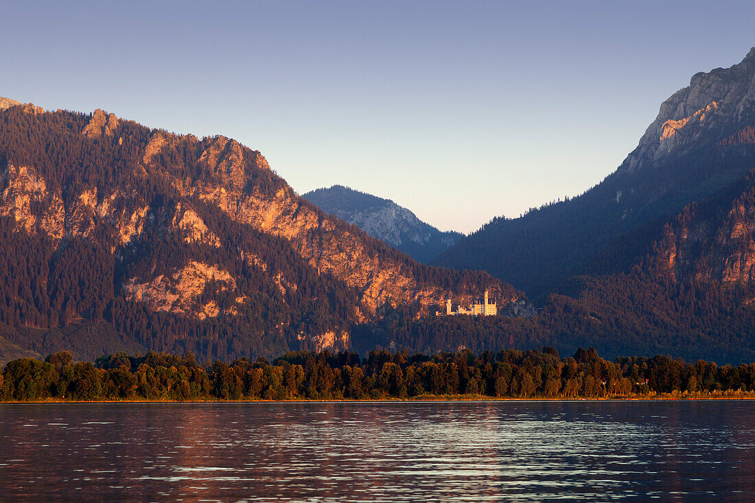View over lake Forggensee to Neuschwanstein castle, Allgaeu Alps, Allgaeu, Bavaria, Germany