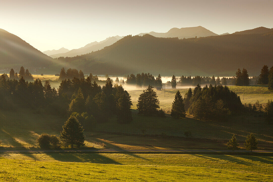 Morgennebel, Allgäuer Alpen, Allgäu, Bayern, Deutschland