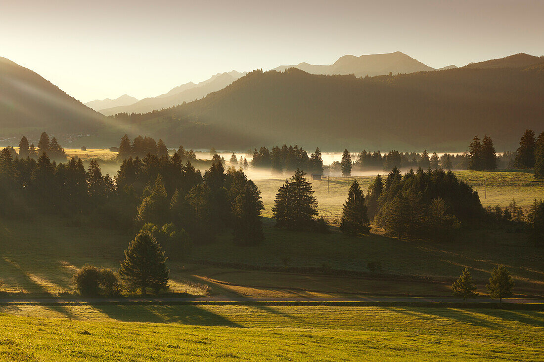 Morning Fog in the mountains, Allgaeu Alps, Allgaeu, Bavaria, Germany