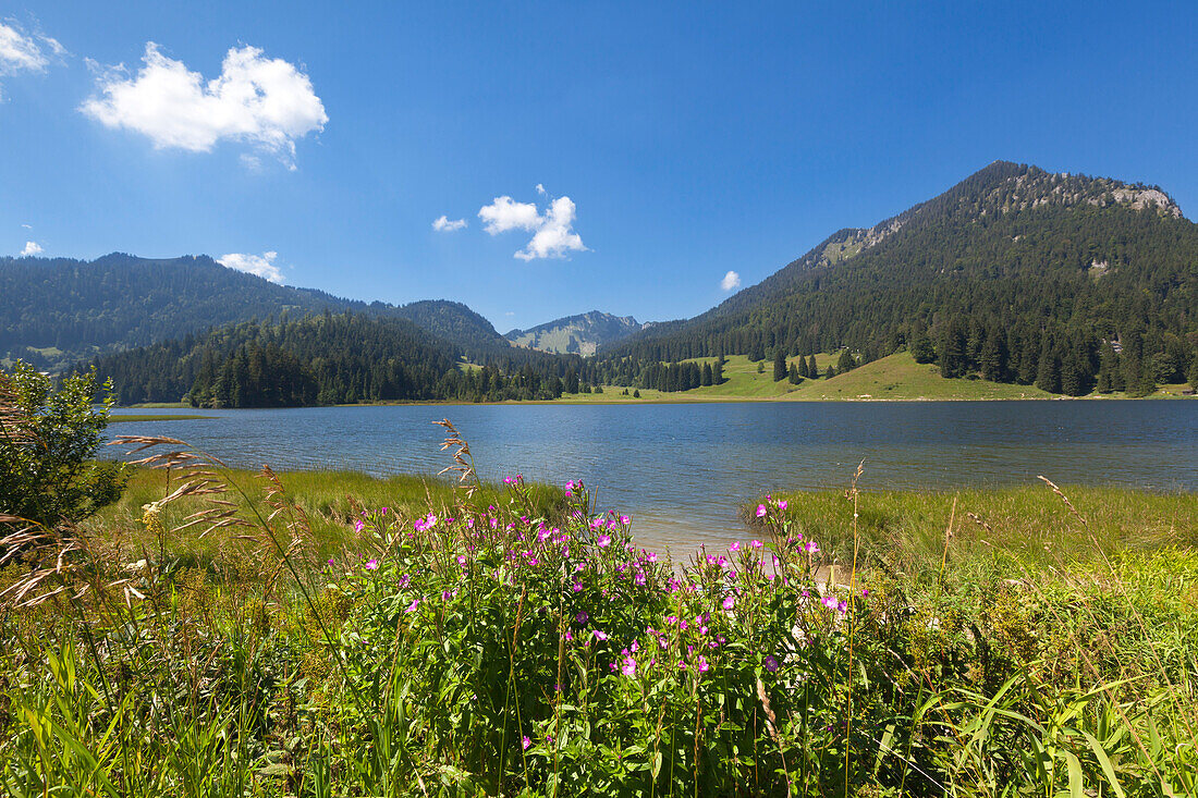 lake Spitzingsee, Mangfallgebirge, Bavaria, Germany