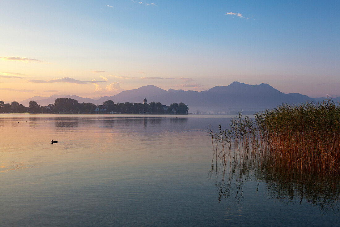 View over Chiemsee to Fraueninsel, near Gstadt, Bavaria, Germany