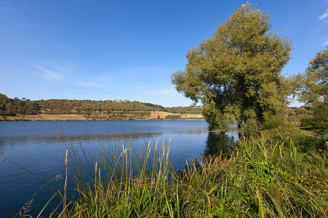 Schalkenmehrener Maar, near Daun, Eifelsteig hiking trail, Eifel, Rhineland-Palatinate, Germany