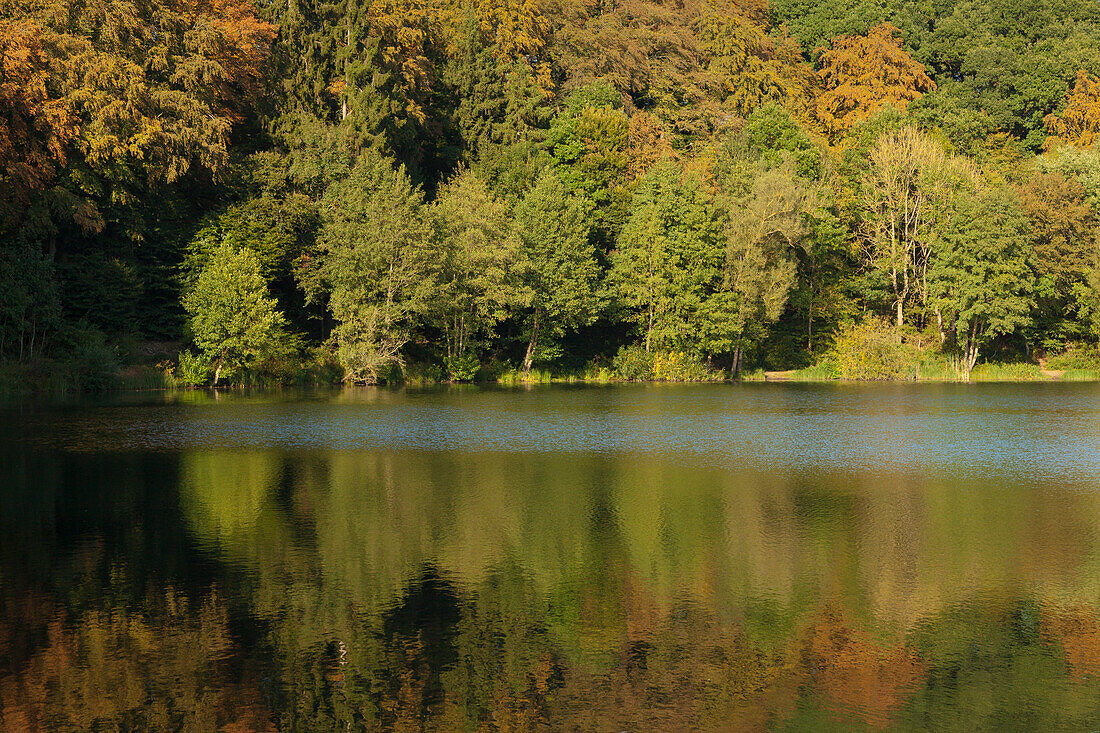 Holzmaar, near Daun, Eifelsteig hiking trail, Eifel, Rhineland-Palatinate, Germany