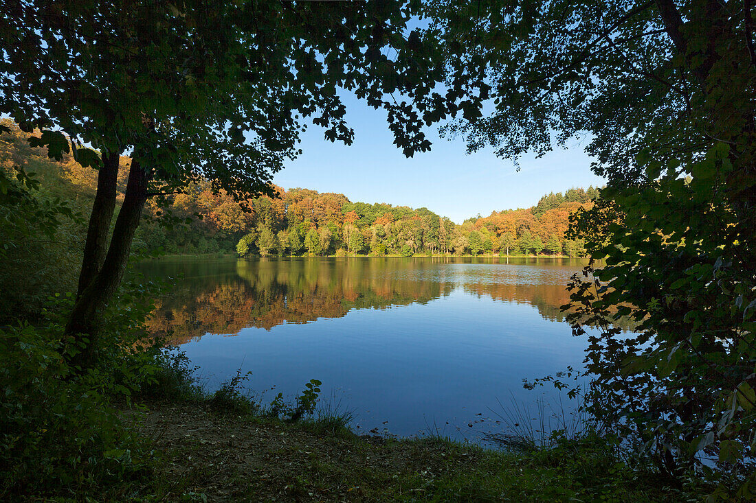 Holzmaar, near Daun, Eifelsteig hiking trail, Eifel, Rhineland-Palatinate, Germany