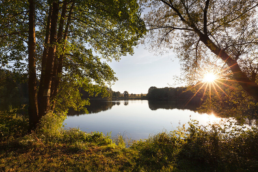 Holzmaar, bei Daun, Eifelsteig, Eifel, Rheinland-Pfalz, Deutschland